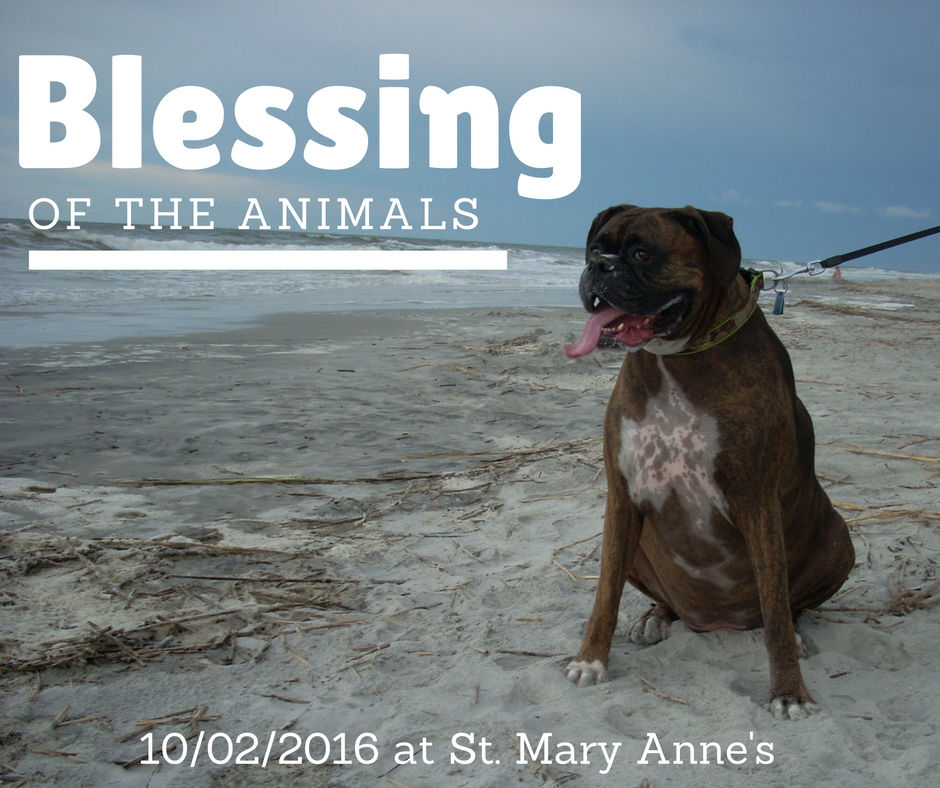 blessingofanimals2-1